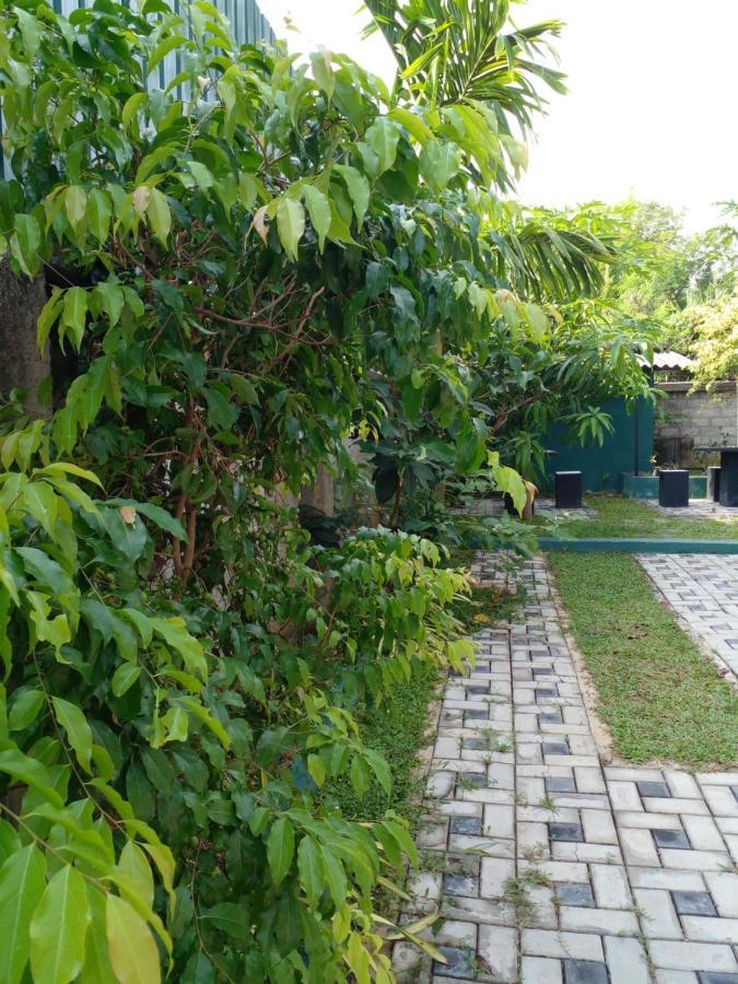 Thomasha Homestay Wellawaya Exterior photo